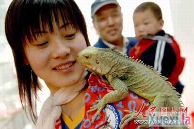 ����Ů�Ե����㴴ҵ�Ƽ� ��Ŀѡ�� ��ҵ׼�� ��ҵ��Ŀ Ů�Դ�ҵ 