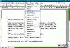 Word2003文档怎么样看字数