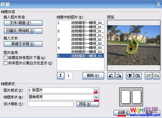 ����ͼƬ��ʽ��